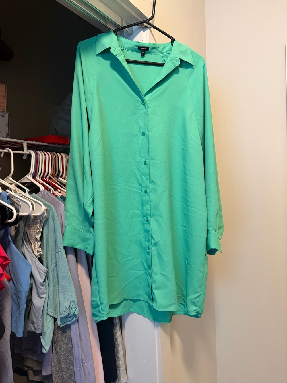 Express Long-Sleeve Button-Front Tunic – Mint
